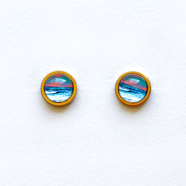 In Living Color- Stainless Steel Stud Earrings